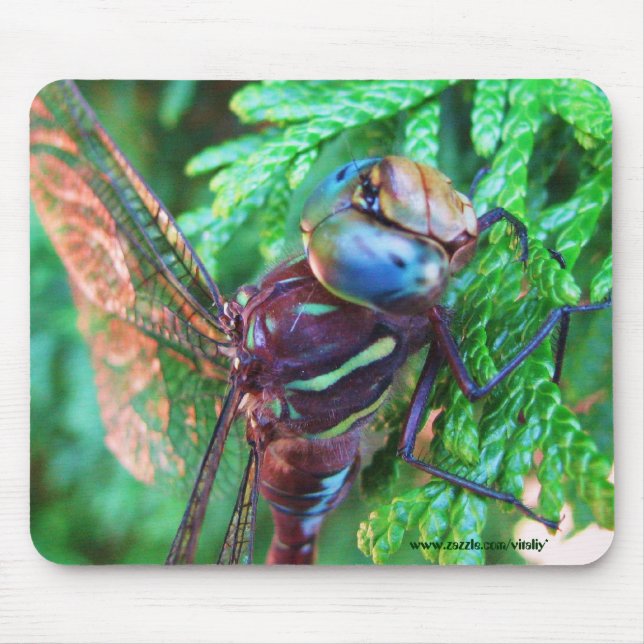Dragonfly mousepad design (Front)