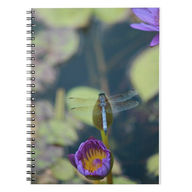 dragonfly notebook (Front)