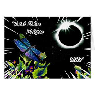 Dragonfly Observing the Total Solar Eclipse 2017