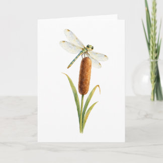 Dragonfly on a Cattail Card