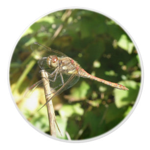 Dragonfly on a Twig Ceramic Knob