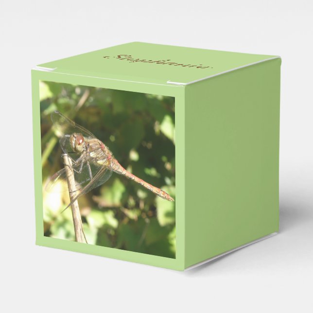 Dragonfly on a Twig Favour Box (Front Side)
