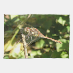 Dragonfly on a Twig Kitchen Towel