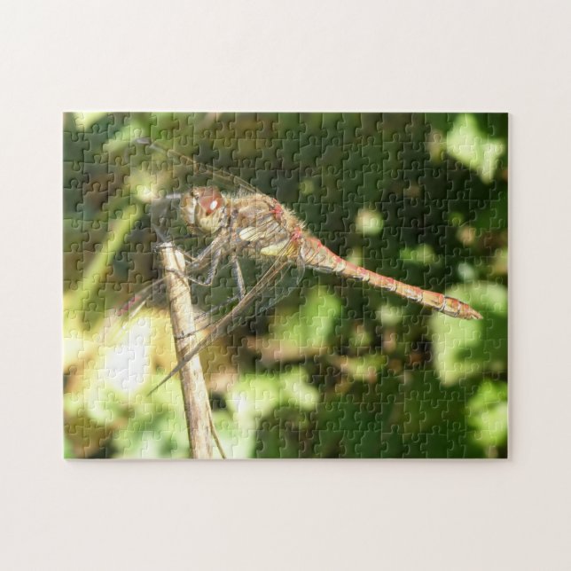 Dragonfly on a Twig Puzzle (Horizontal)