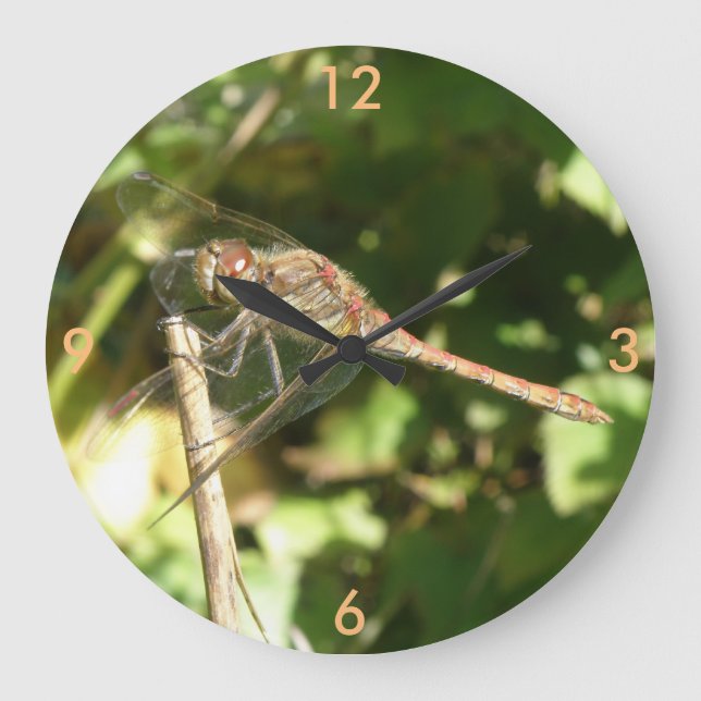 Dragonfly on a Twig Wall Clock (Front)