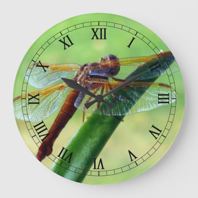 Dragonfly on Aloe Macro Wall Clock (Front)