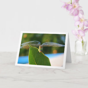 Dragonfly on Green Leaf Card