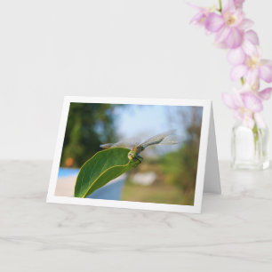 Dragonfly on Green Leaf Card
