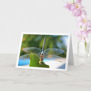 Dragonfly on Green Leaf Card