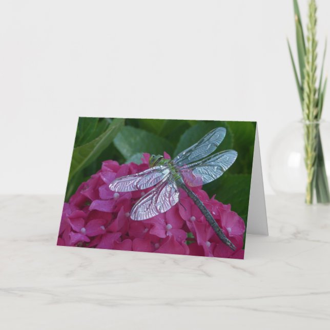Dragonfly On Pink Flowers Card (Front)