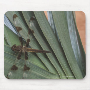Dragonfly on plant mouse pad