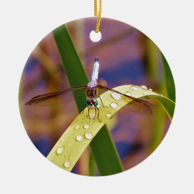 Dragonfly on raindrop leaf ceramic ornament (Front)