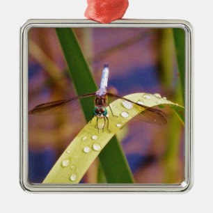 Dragonfly on raindrop leaf metal tree decoration