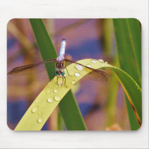 Dragonfly on raindrop leaf mouse pad
