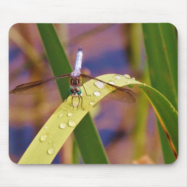 Dragonfly on raindrop leaf mouse pad (Front)