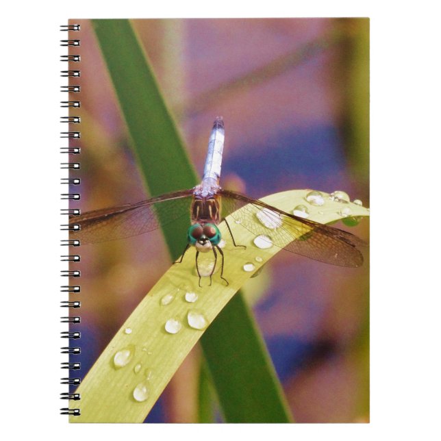 Dragonfly on raindrop leaf notebook (Front)