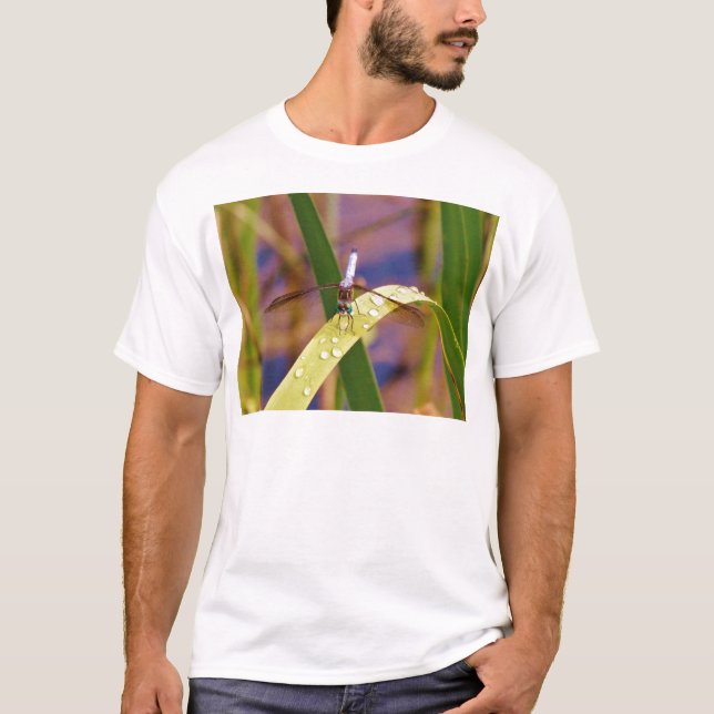 Dragonfly on raindrop leaf T-Shirt (Front)