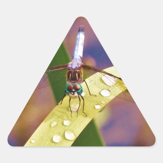Dragonfly on raindrop leaf triangle sticker (Front)
