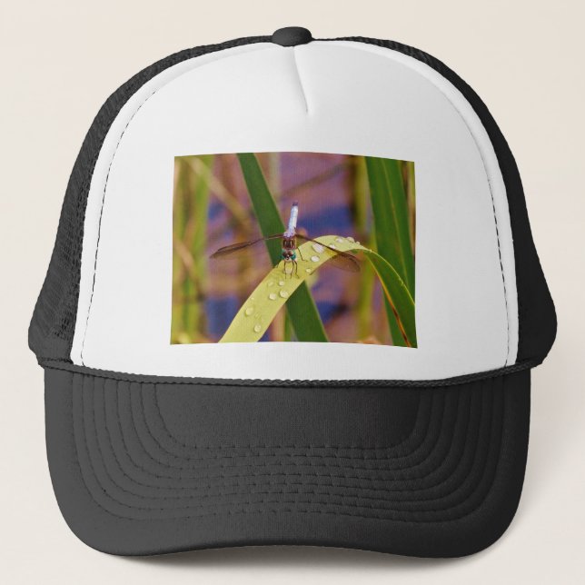 Dragonfly on raindrop leaf trucker hat (Front)