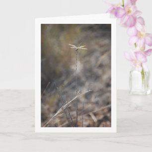 Dragonfly on Stalk Portrait Card
