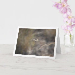 Dragonfly on Stalk Portrait Card