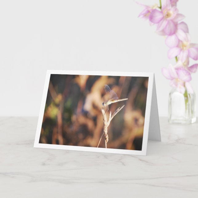 Dragonfly on Stem Portrait Card (Orchid)