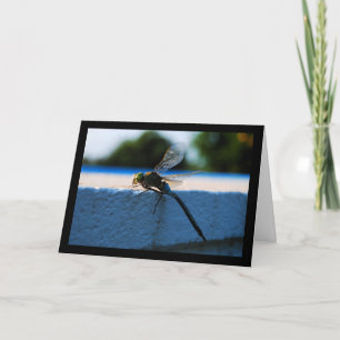 Dragonfly on the Ledge Card