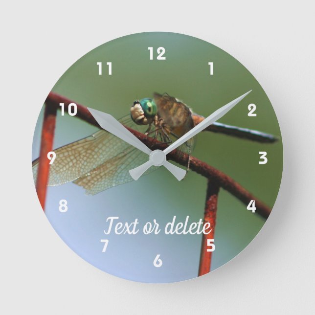 Dragonfly On Wire Fence Personalized Round Clock (Front)