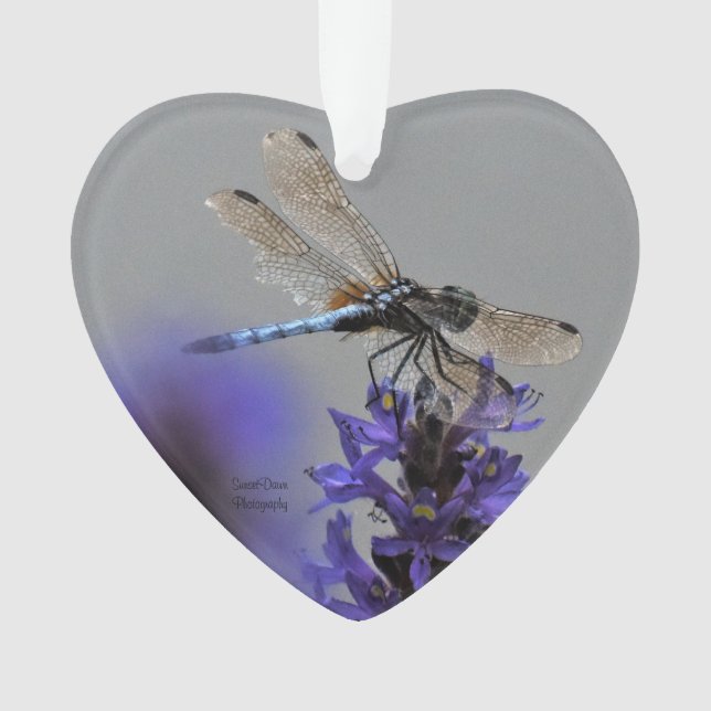 Dragonfly Ornament (Front)