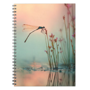 Dragonfly Pastel Reflection Notebook