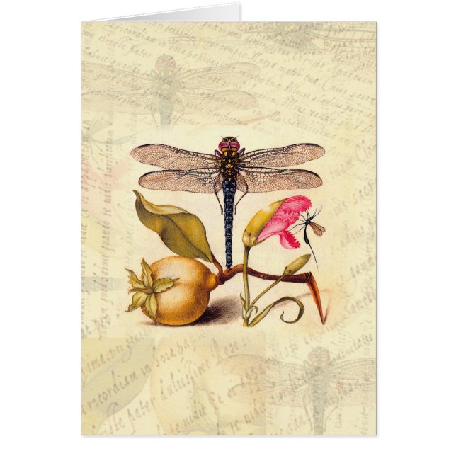 Dragonfly, Pear, Carnation, and Insect (Front)