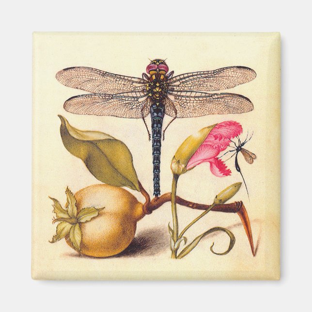 Dragonfly, Pear, Carnation, and Insect Magnet (Front)