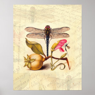 Dragonfly, Pear, Carnation, and Insect Poster