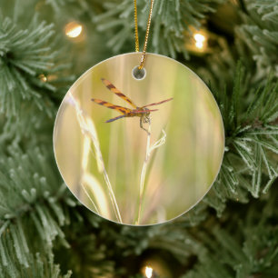 Dragonfly Photo Ornament 