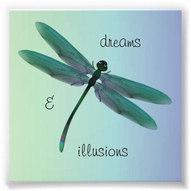 Dragonfly Photo Print (Front)