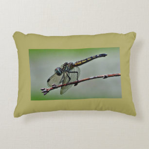 Dragonfly Pillow