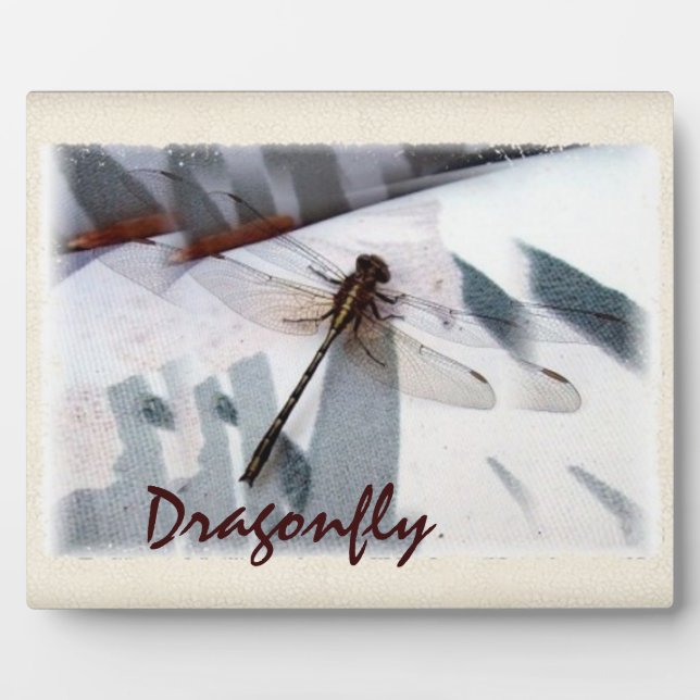 Dragonfly Plaque (Front)