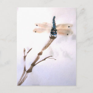 Dragonfly Postcard