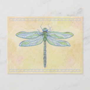 Dragonfly postcard