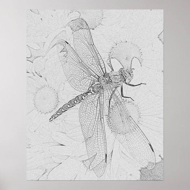 Dragonfly Poster (Front)