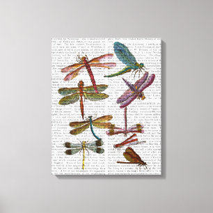 Dragonfly Print 4