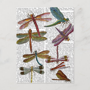 Dragonfly Print 4 Postcard
