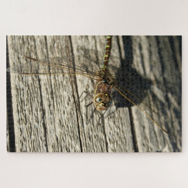 Dragonfly Puzzle (Horizontal)