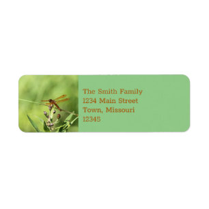 Dragonfly Return Address Label
