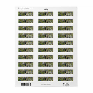 Dragonfly Return Address Label