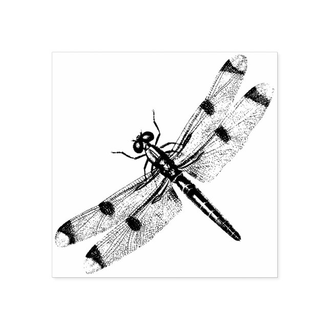 Dragonfly  rubber stamp (Imprint)
