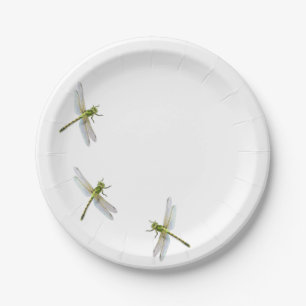 Dragonfly’s Paper Plate