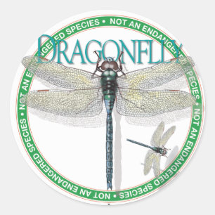 Dragonfly Sticker