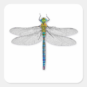 Dragonfly Stickers Labels Seals