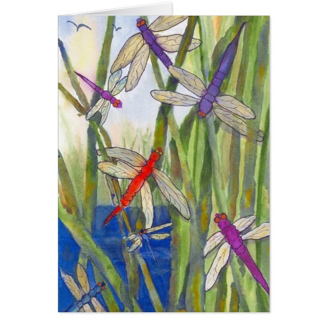 Dragonfly Summer (Front)